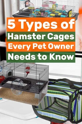 There are many different types of hamster cages to choose from depending on your hamster's needs.
