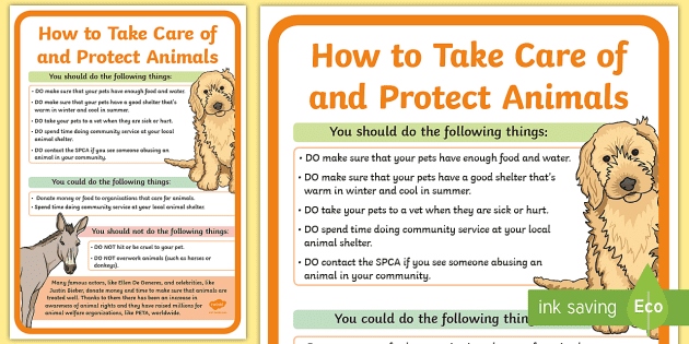 There are many different ways to care for your pet.