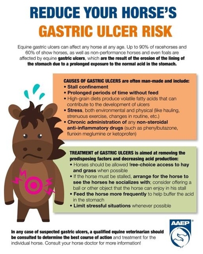 There are many different ways to treat equine gastric ulcers, but the most common is to change the horse's diet.