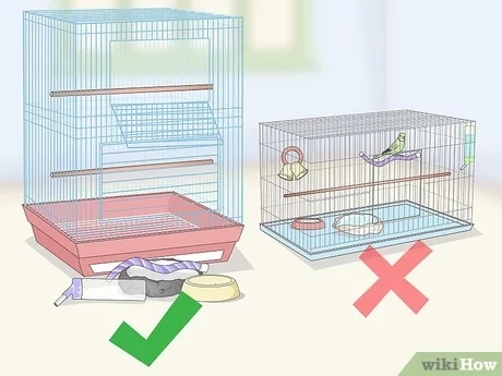 To deep clean a bird cage, remove all the bird toys, perches, and food/water dishes.