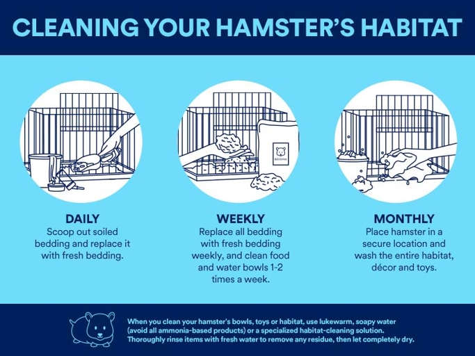 To ensure proper hygiene for the hamster, clean its cage at least once a week.