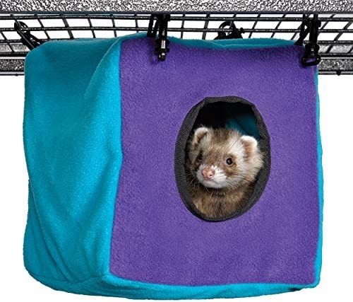 To ferret-proof your house, you'll need to block off any small spaces where your ferret could get stuck, and cover or remove any loose wires.
