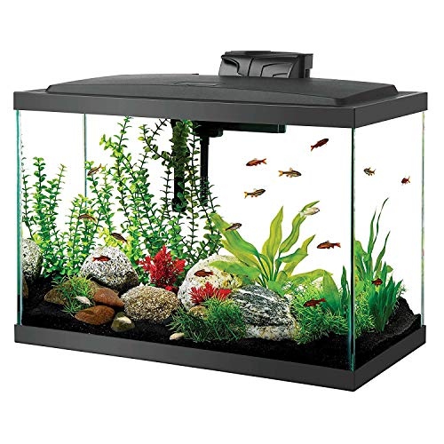 To get the most money for your fish tank, price it properly.
