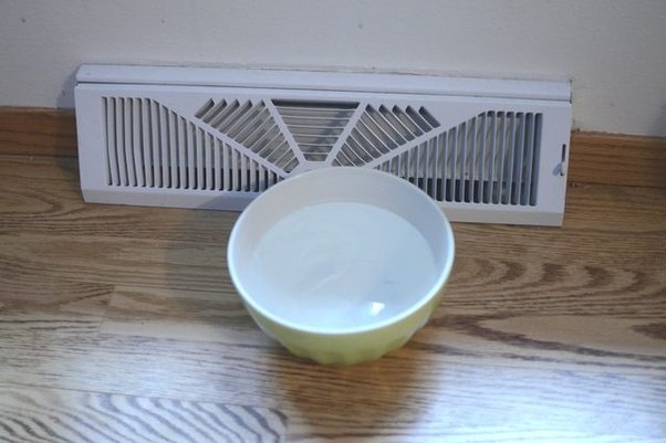 To maintain humidity, keep a bowl of water in the enclosure.
