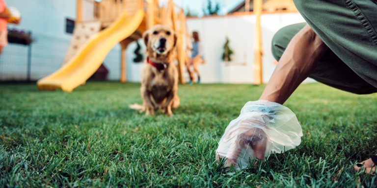 To neutralize the smell of dog poop, pour white vinegar into the bin.