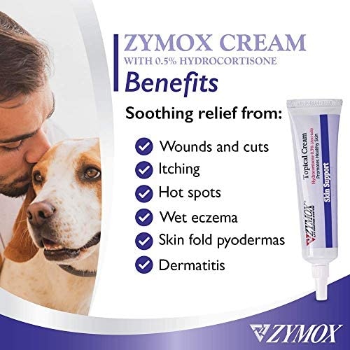 Topical creams can be an effective way to keep your dog from scratching a neck wound.