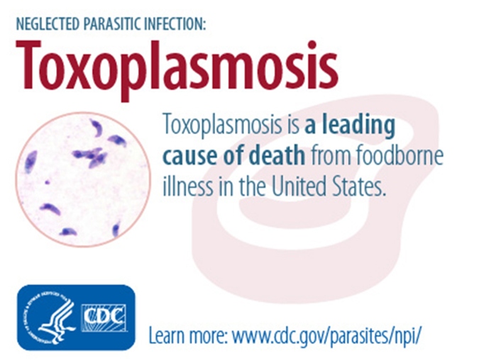 Toxoplasmosis is a disease caused by the Toxoplasma gondii parasite.