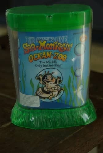 Yes, sea monkeys can make good pets if they are properly cared for.