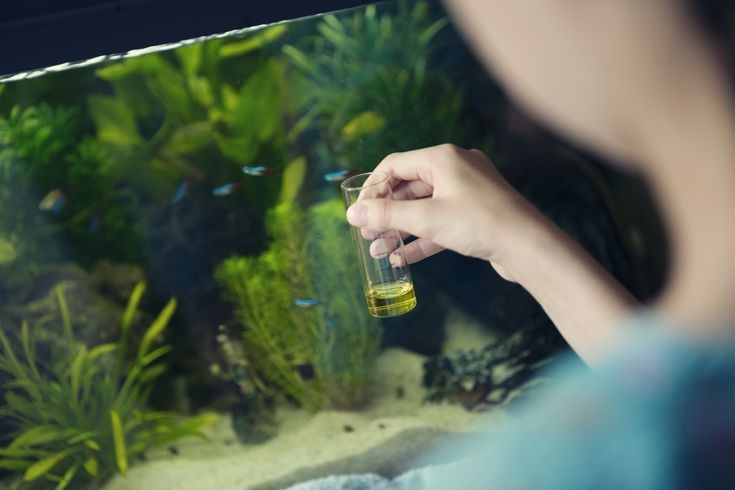 Yes, there are ways to tell if your fish tank water is healthy.