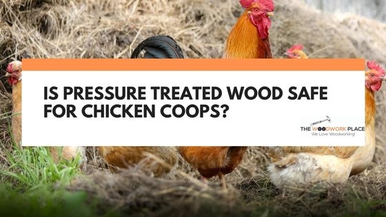 Yes, you can use pressure-treated wood for a chicken coop.