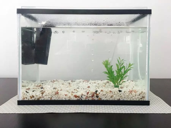 You can put Sea Monkeys in a fish tank, but they may not survive.