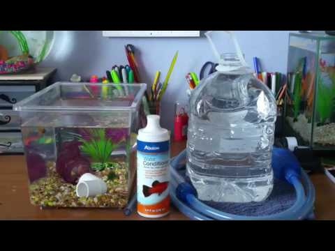 You will need to do a water change before adding your betta fish to the tank.