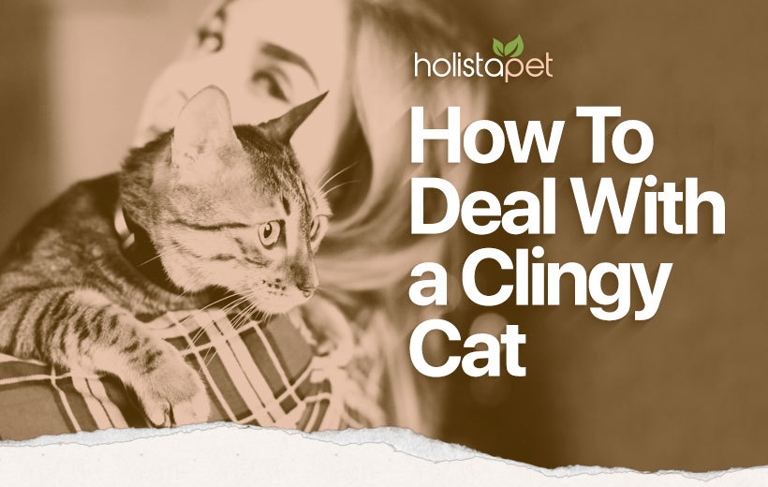 Your cat may have separation anxiety if they are excessively clingy and follow you around everywhere.
