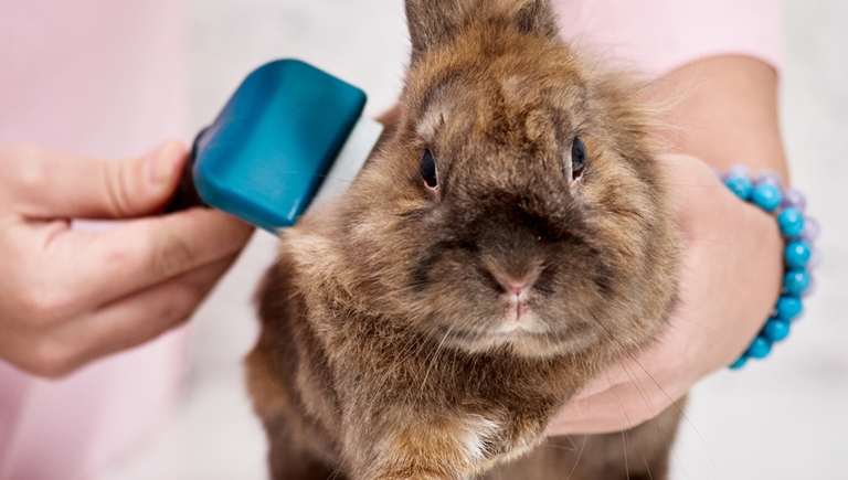 Your rabbit may not be moving around much because it needs grooming.